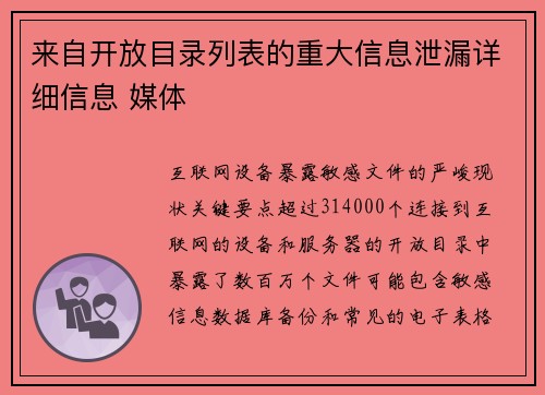 来自开放目录列表的重大信息泄漏详细信息 媒体